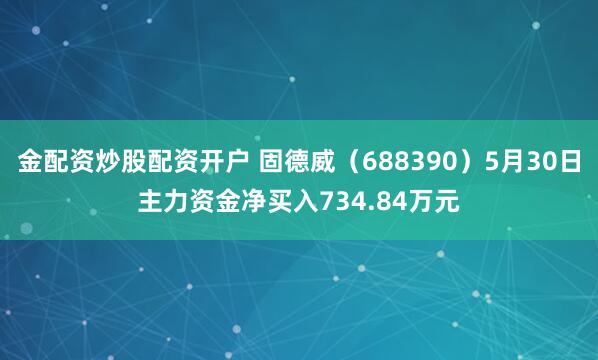 金配资炒股配资开户 固德威（688390）5月30日主力资金净买入734.84万元